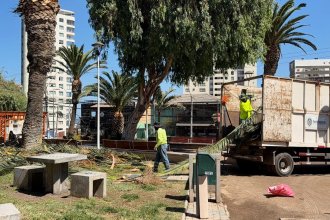 WhatsApp Image 2026-04-01 at 16.03.43 (1).jpeg